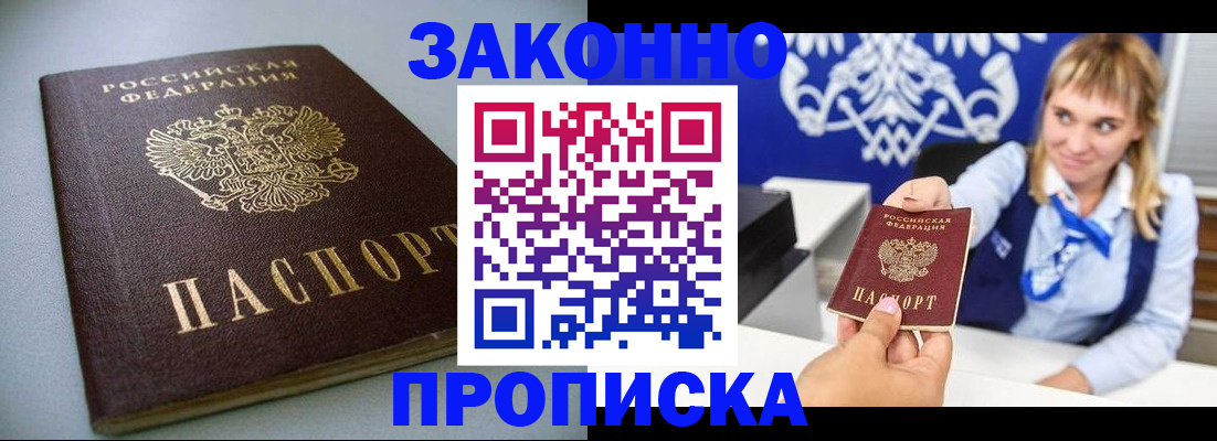 прописка поиск в Котово